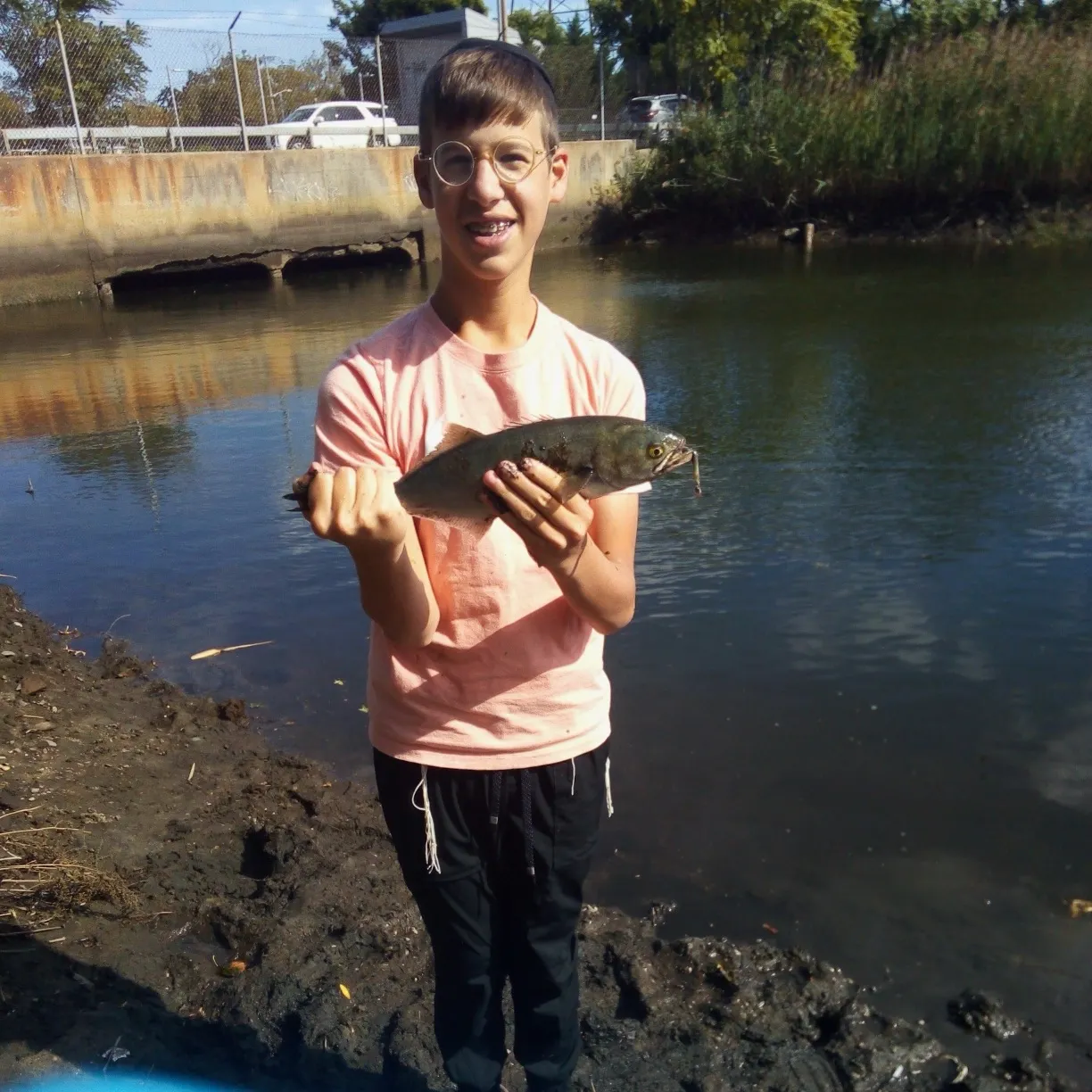 Bluefish caught on Fishbrain