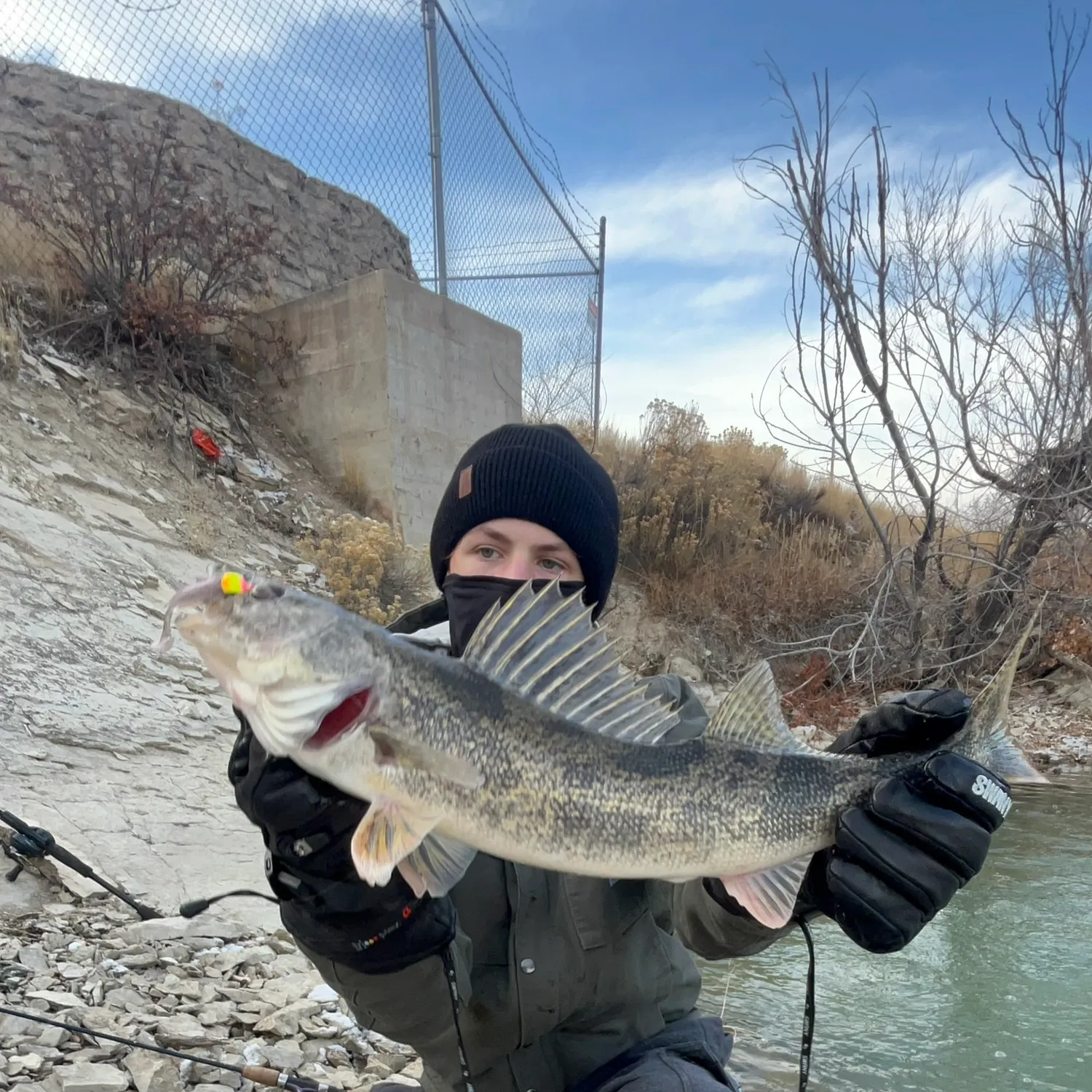 The most recent Sauger catches on Fishbrain