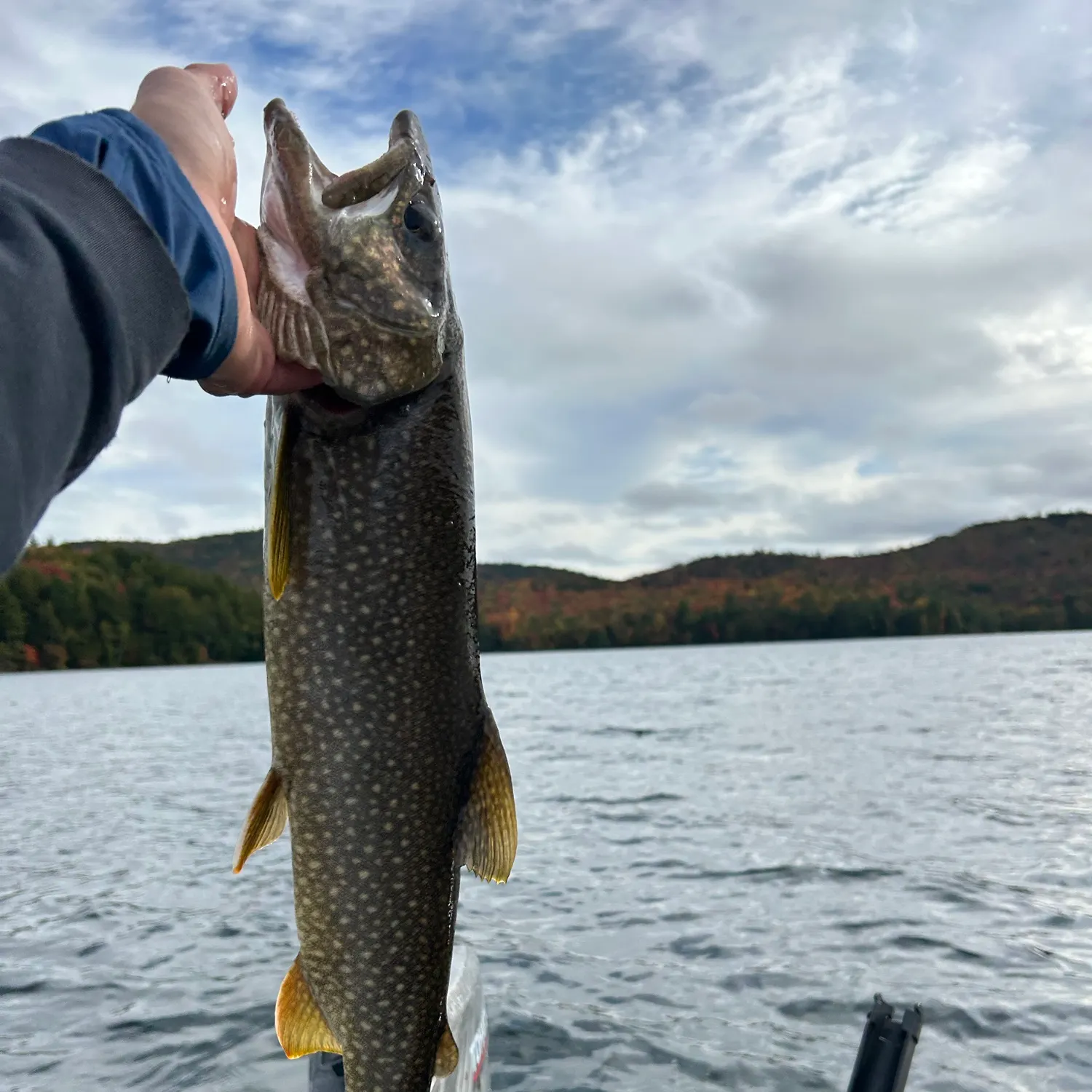 Lake char caught on Fishbrain