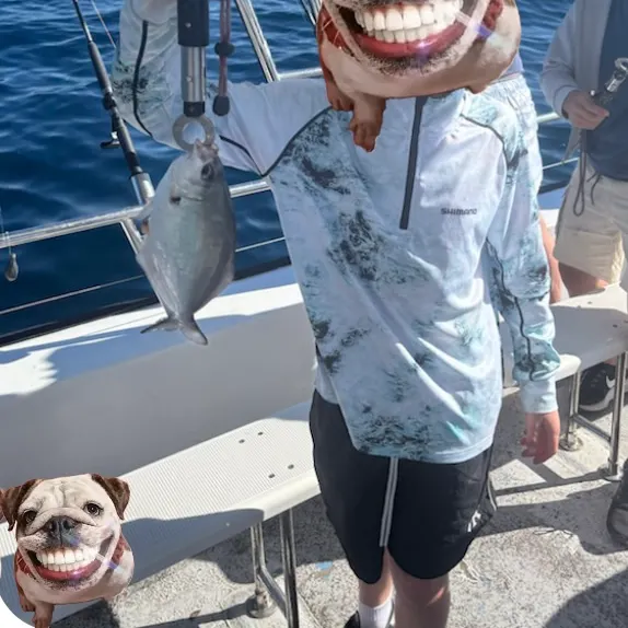 Silver sweep caught on Fishbrain