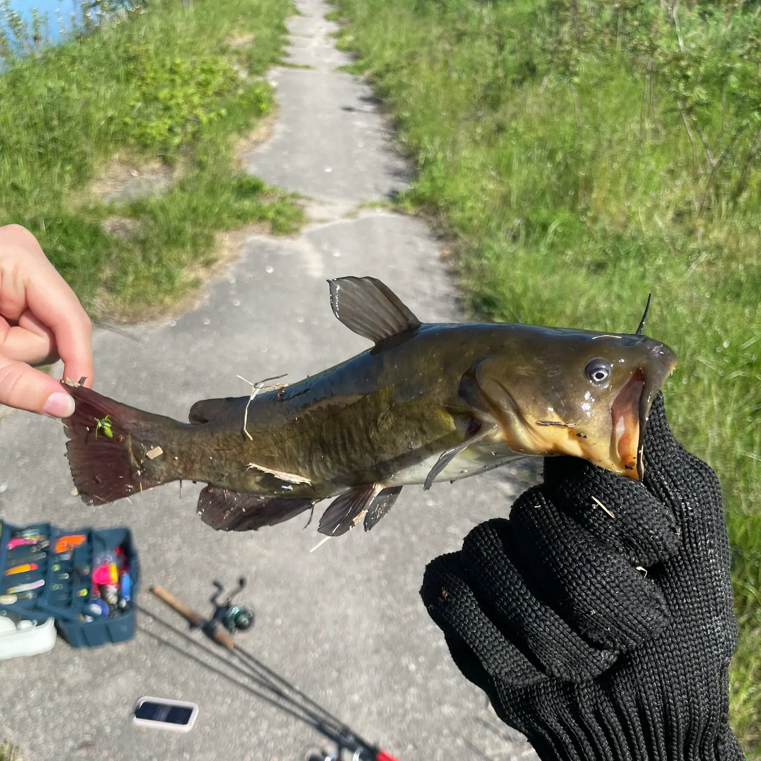 catch