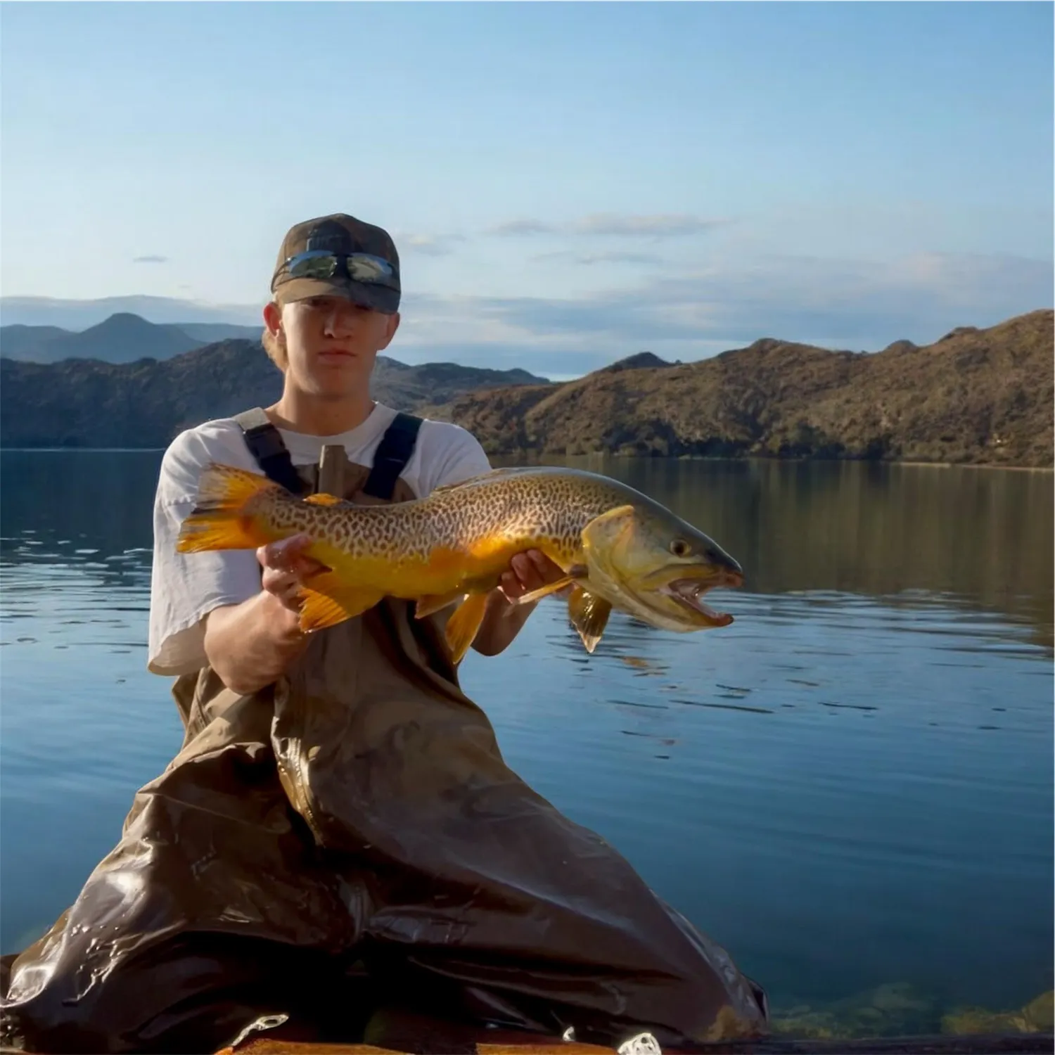 The most recent Tiger trout catches on Fishbrain