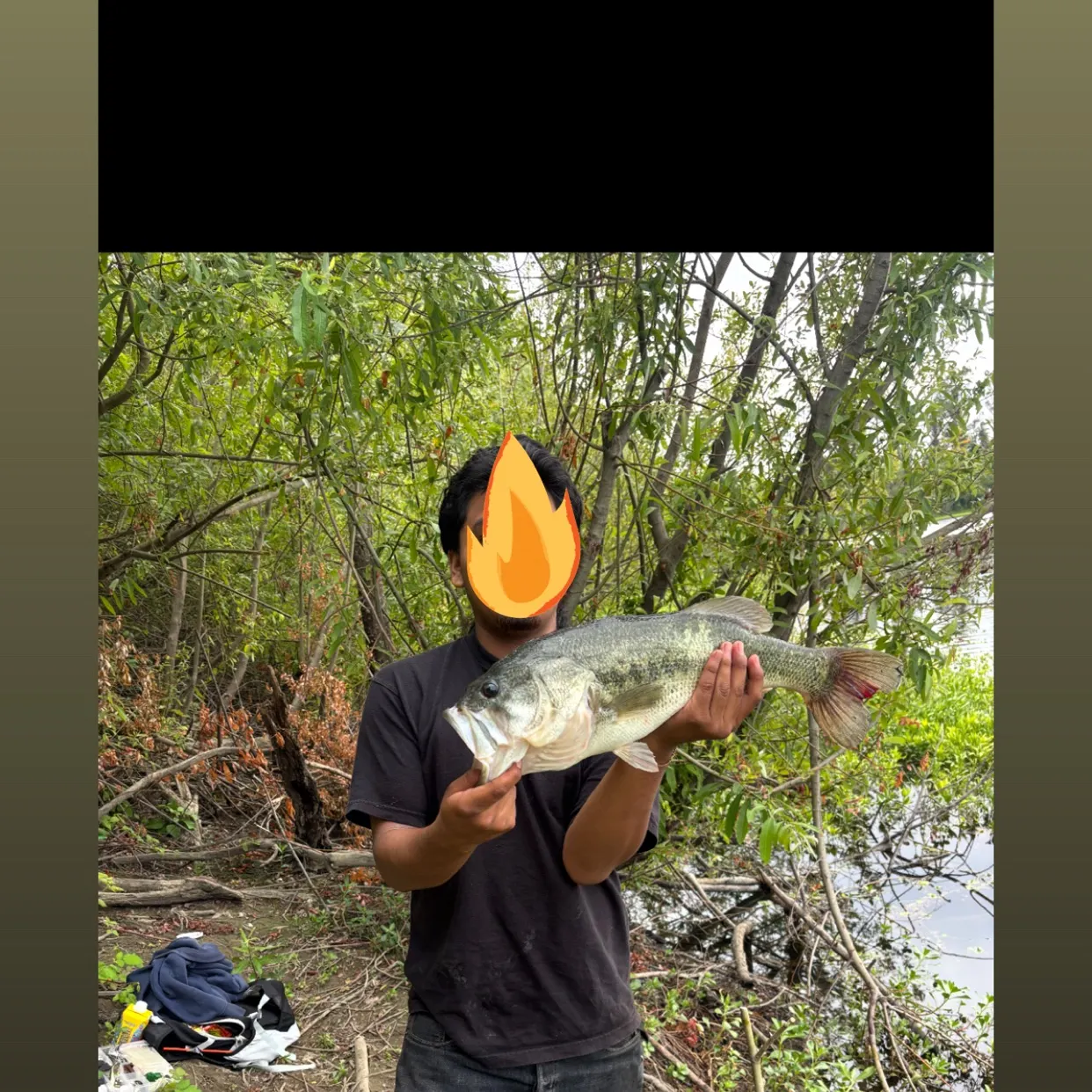 Largemouth bass caught on Fishbrain