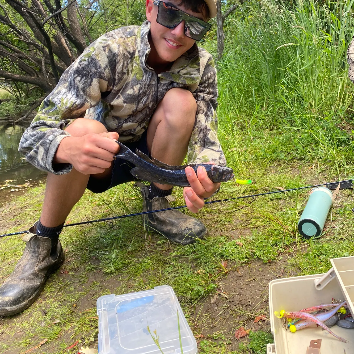 The most recent River blackfish catches on Fishbrain