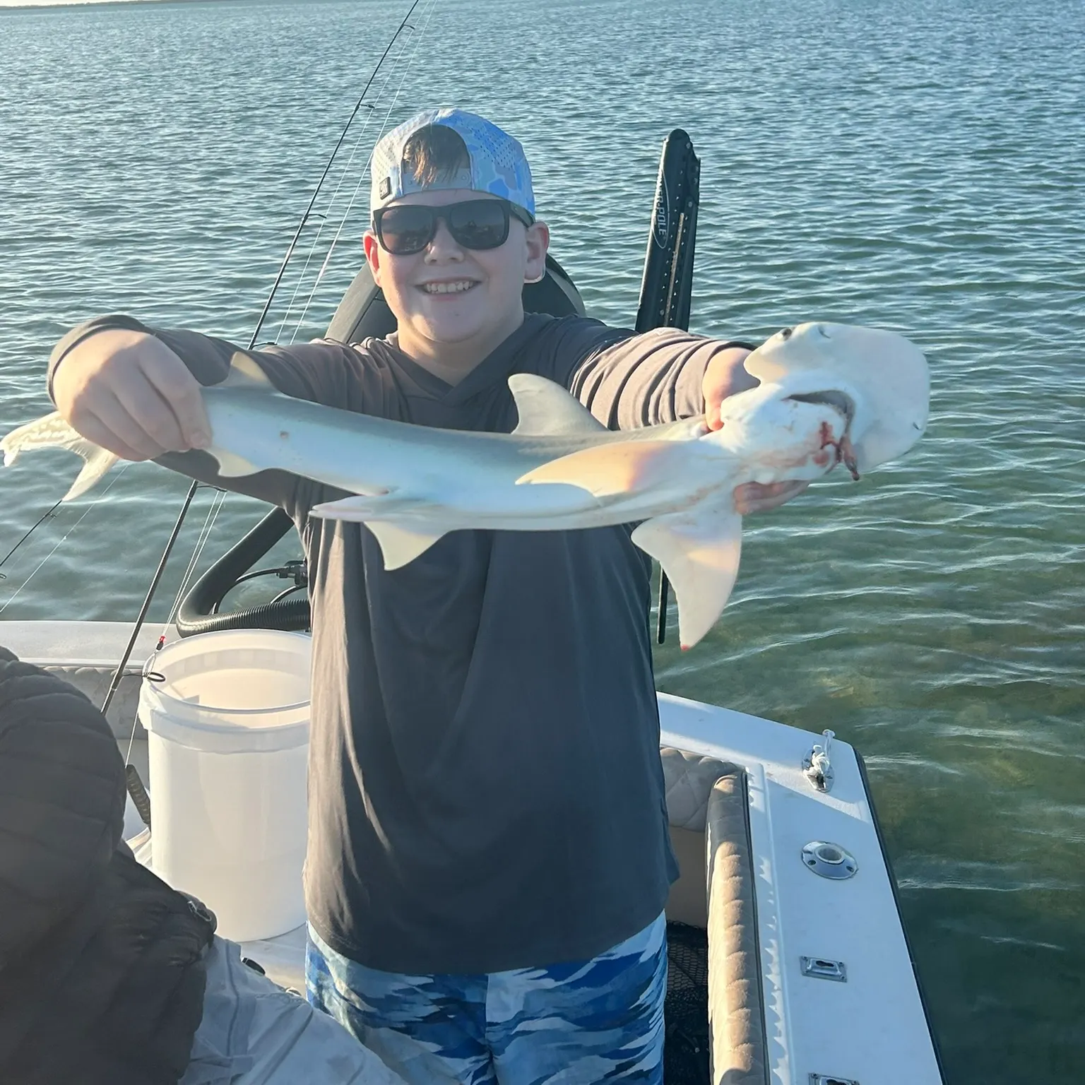 The most recent Bonnethead shark catches on Fishbrain