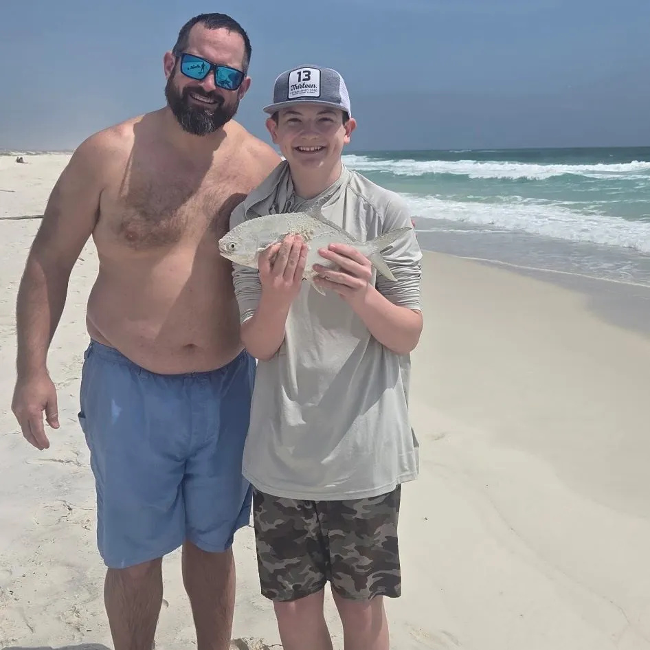 The most recent Florida pompano catches on Fishbrain