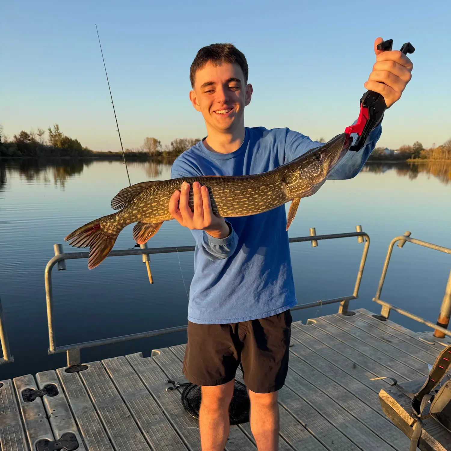 Northern pike caught on Fishbrain