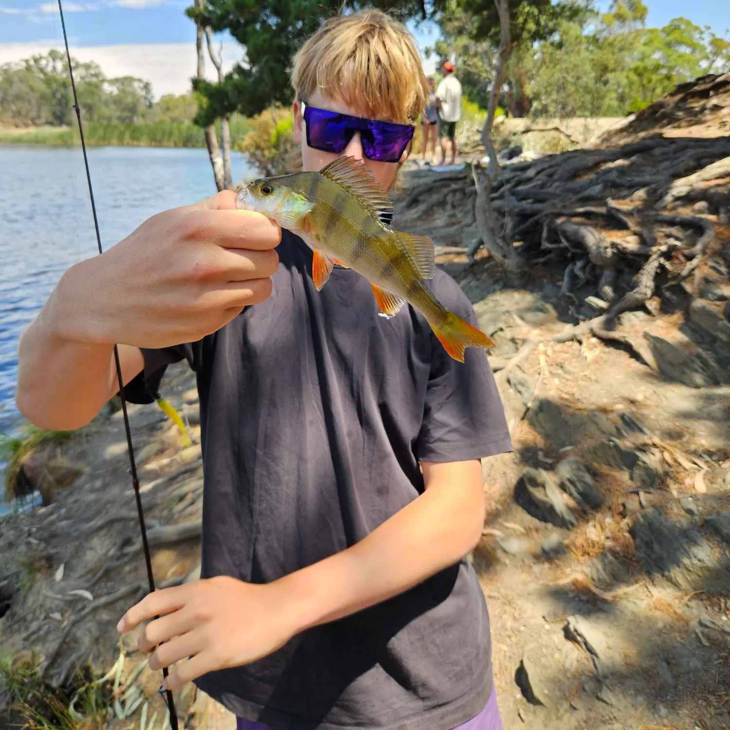 The most recent European perch catches on Fishbrain