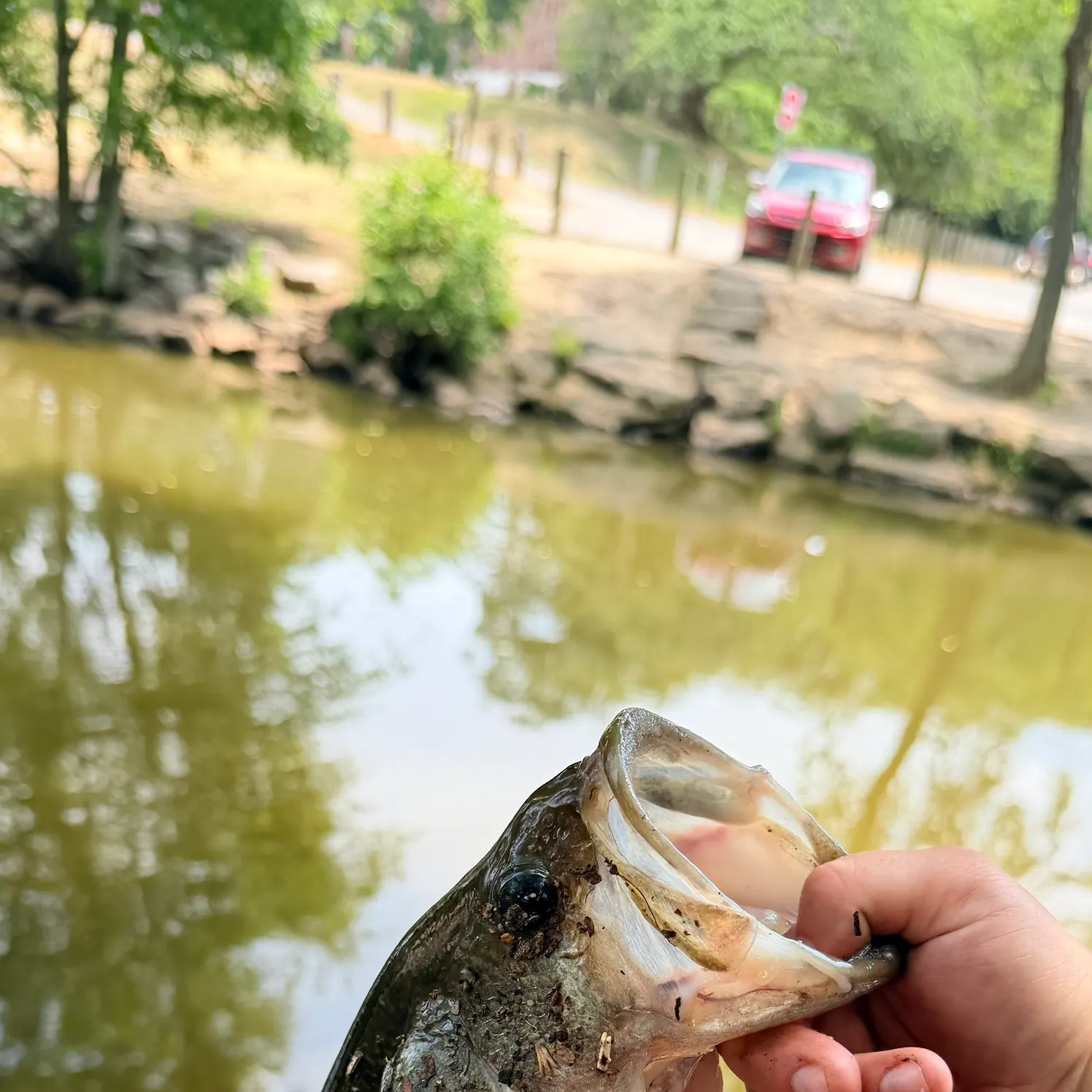 catch