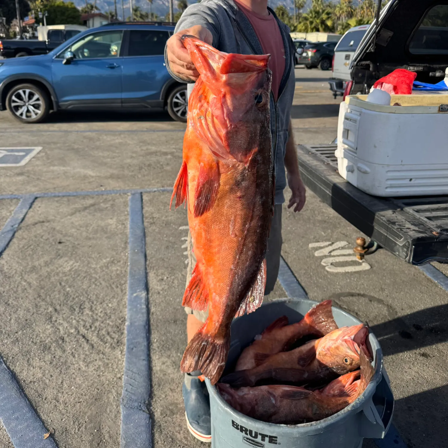 catch
