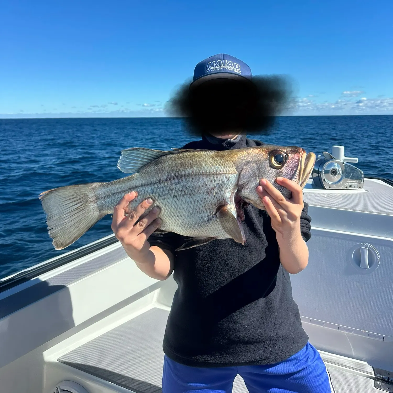 The most recent Westralian jewfish catches on Fishbrain
