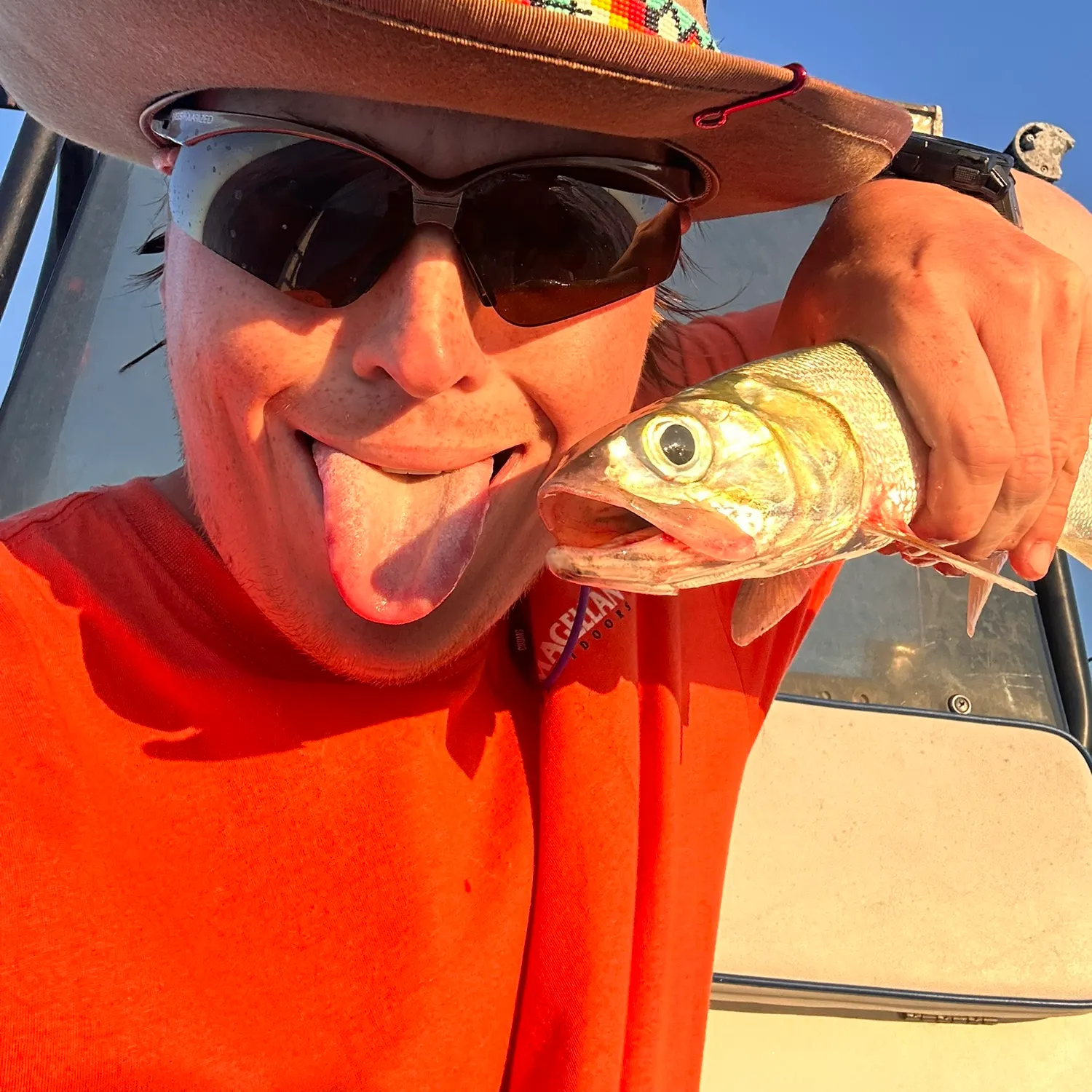 The most recent Atlantic mackerel catches on Fishbrain