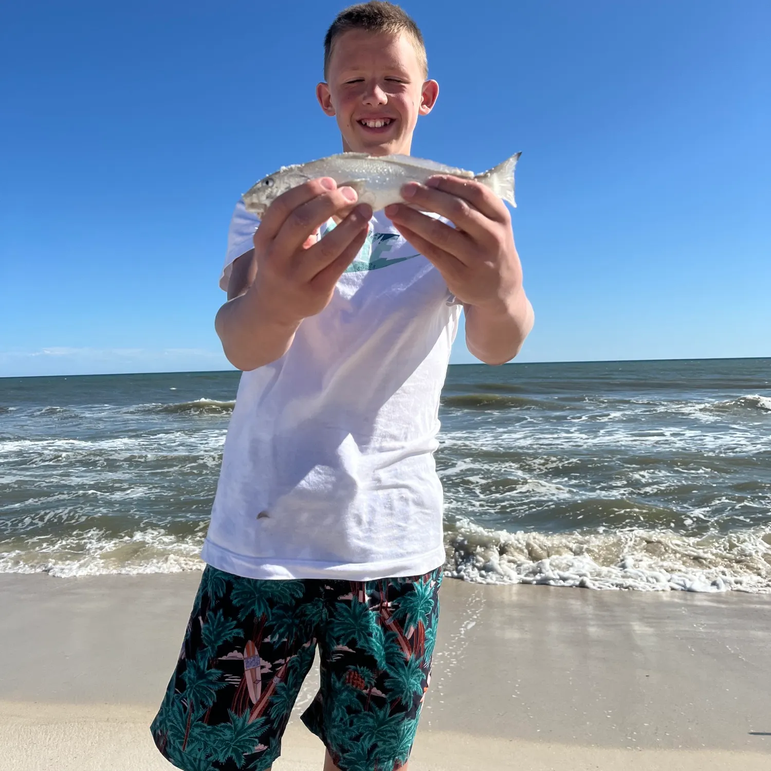 The most recent Whiting catches on Fishbrain