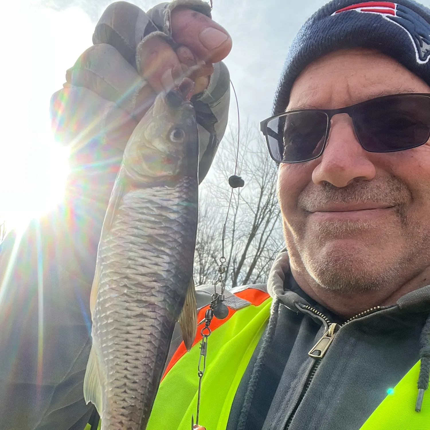 The most recent Striped shiner catches on Fishbrain