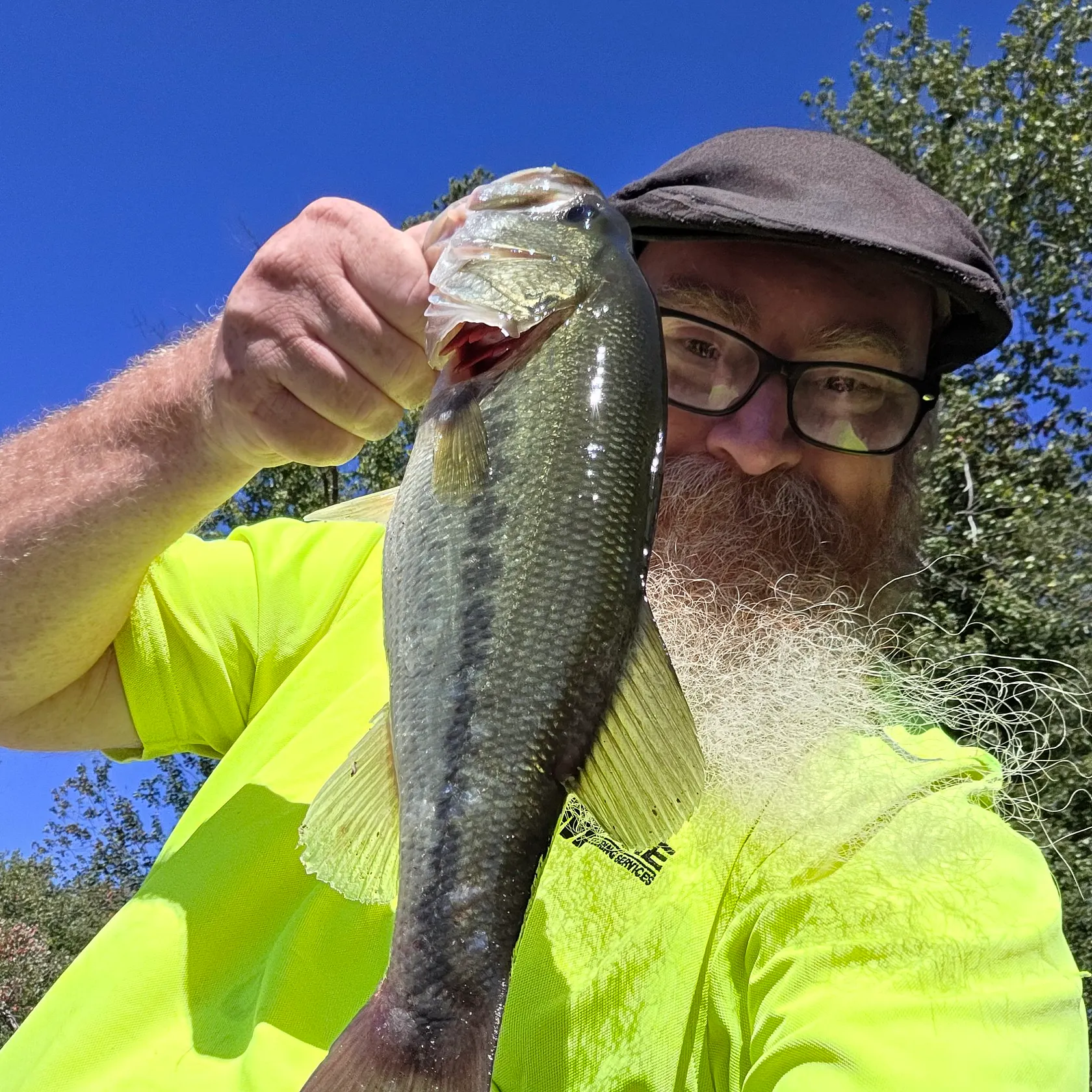 Largemouth bass caught on Fishbrain