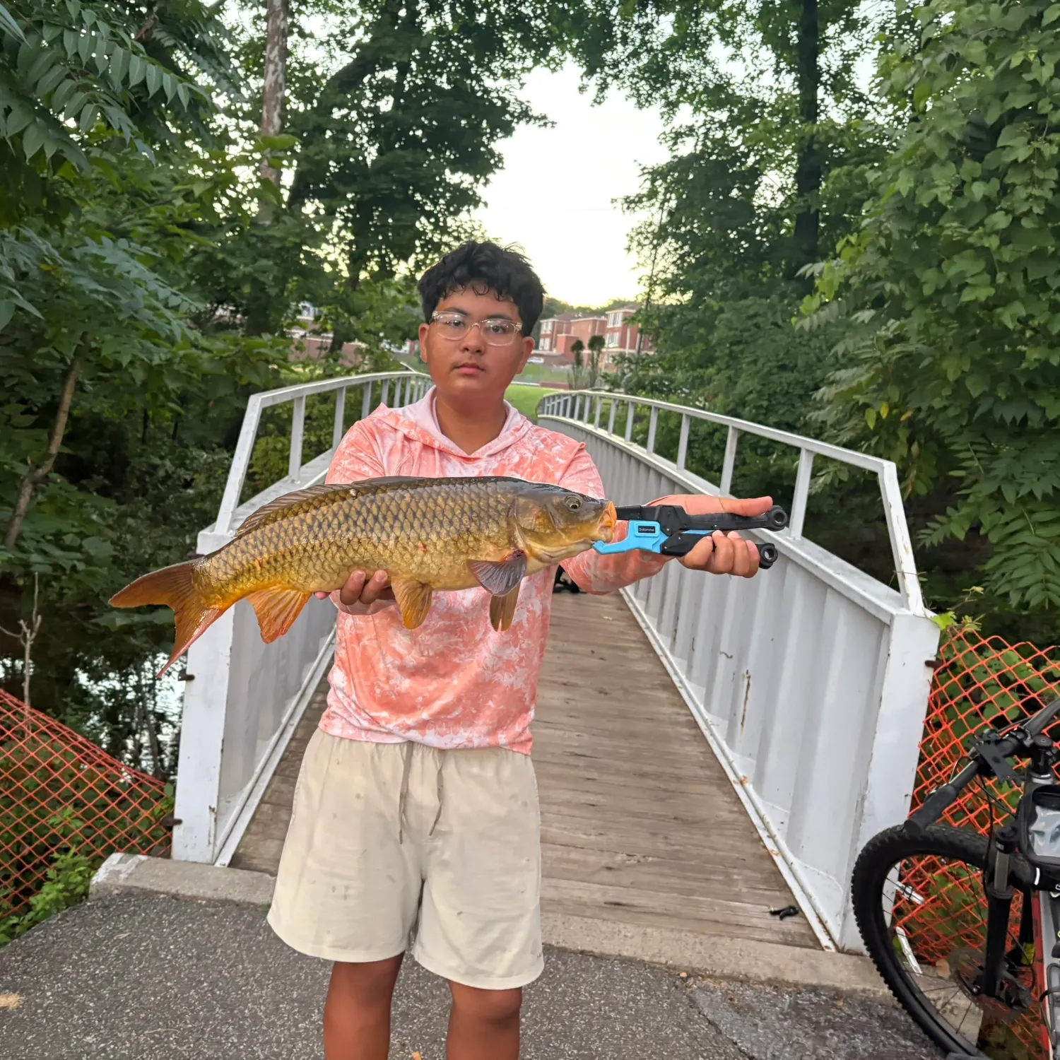 Common carp caught on Fishbrain