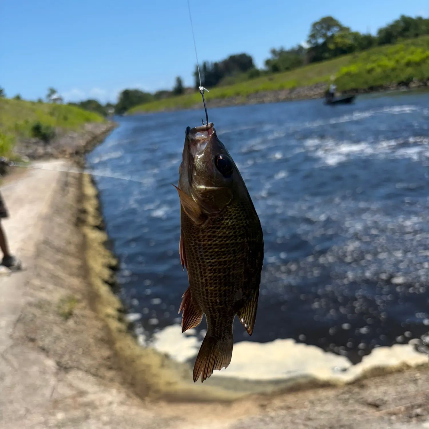 catch