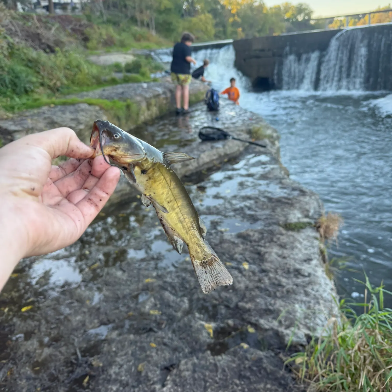 catch