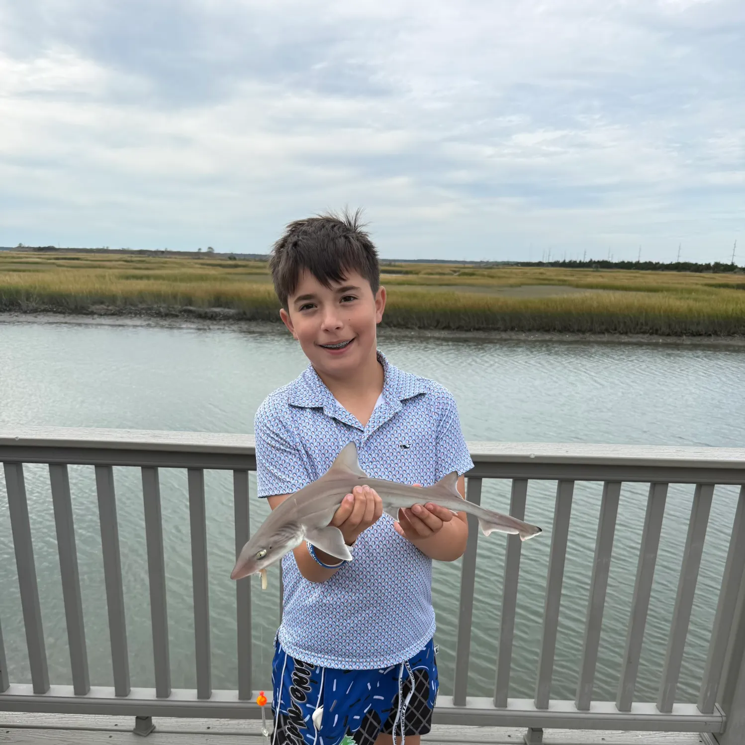 Dusky smooth-hound caught on Fishbrain