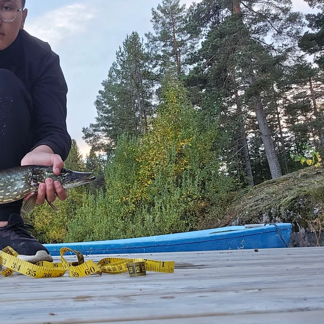 Northern pike caught on Fishbrain
