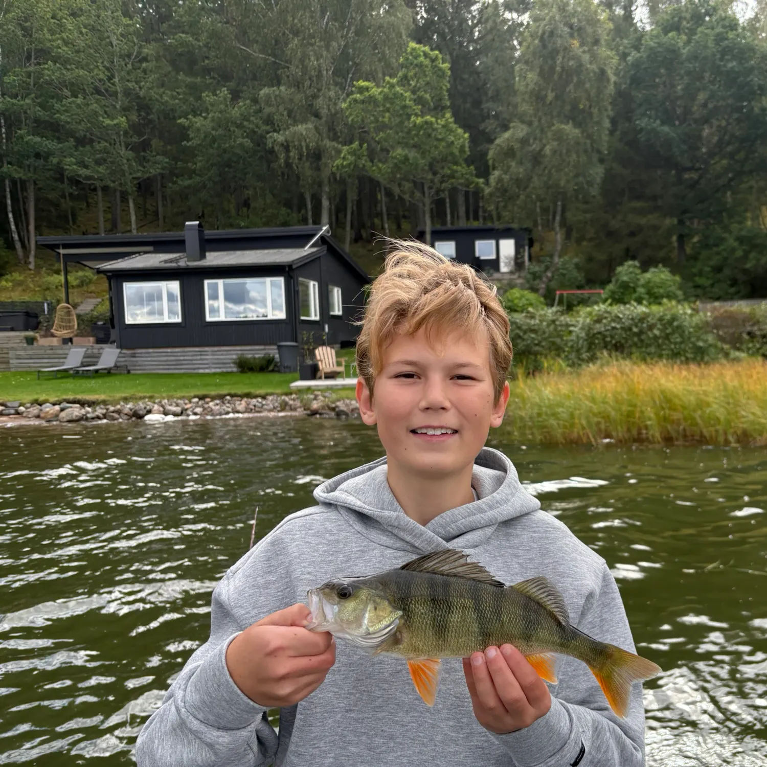 European perch caught on Fishbrain