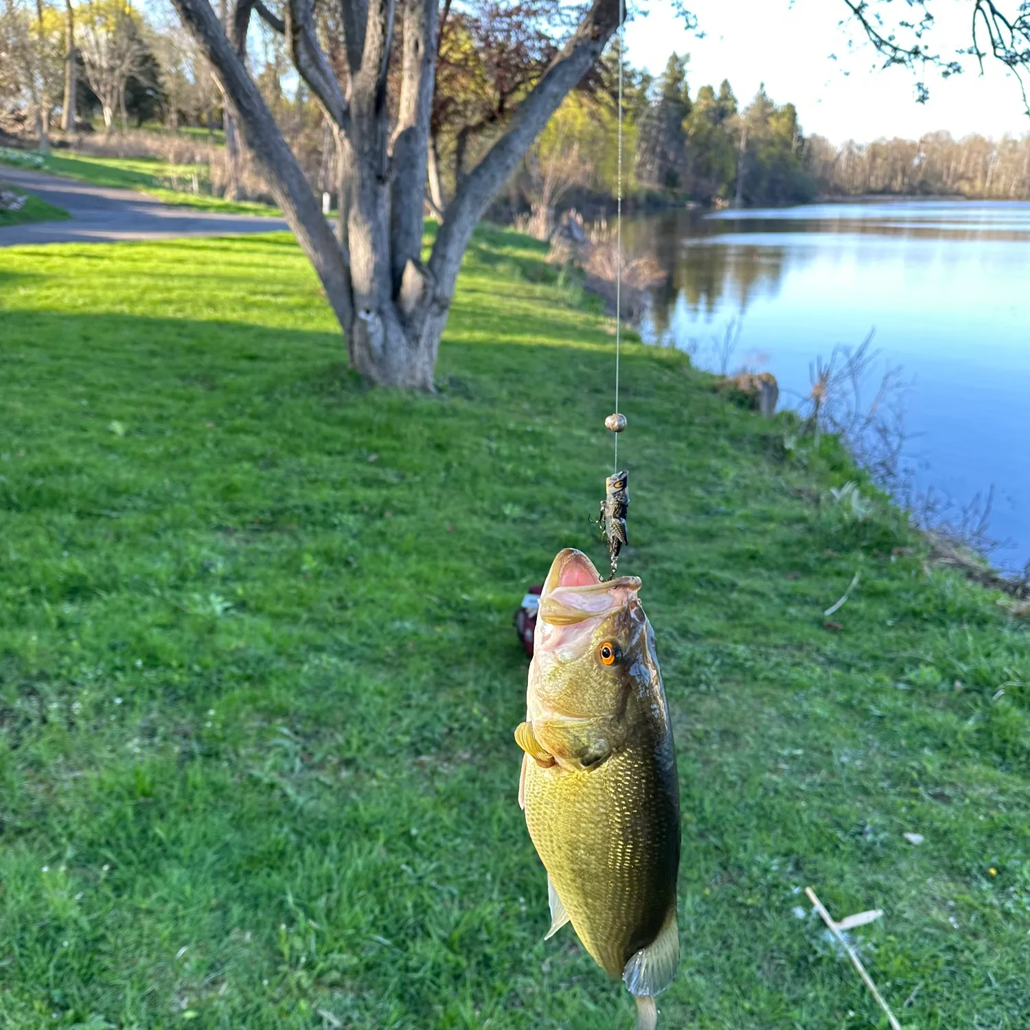 catch