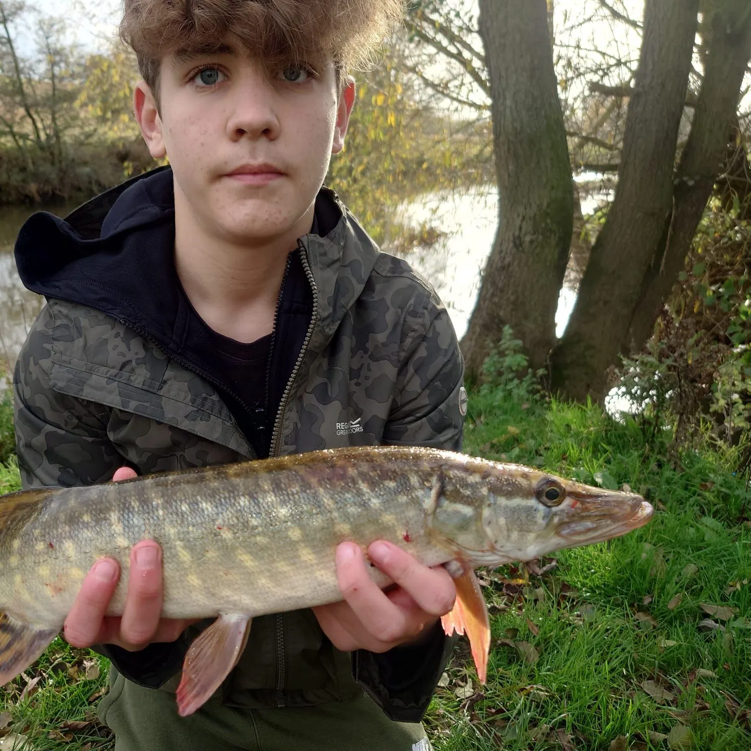 Northern pike caught on Fishbrain