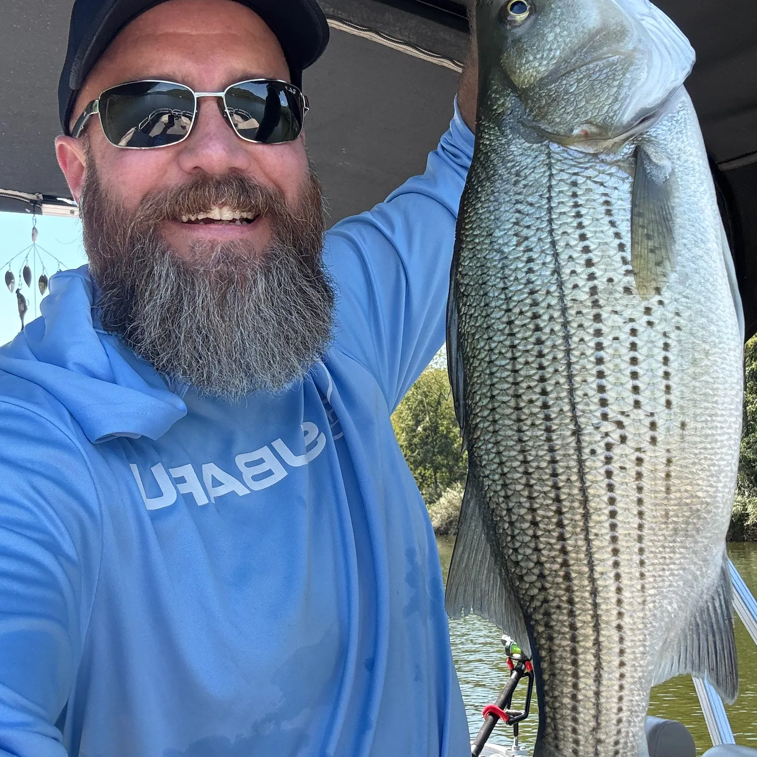 Wiper caught on Fishbrain