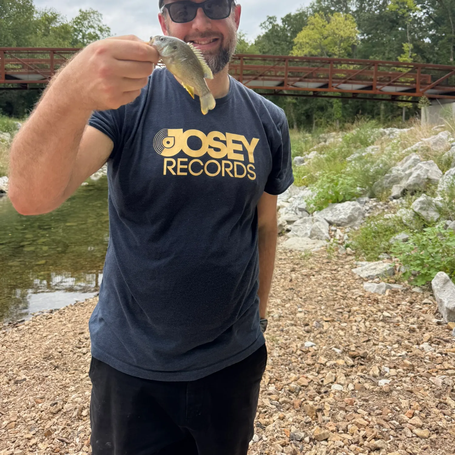 Green sunfish caught on Fishbrain