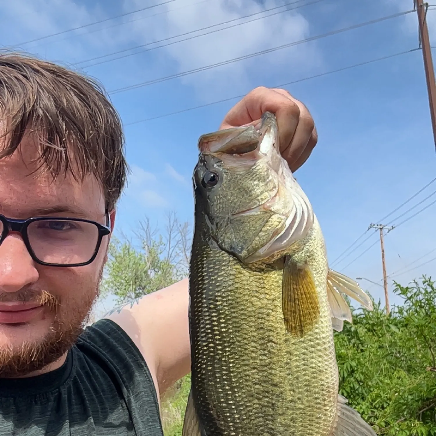 angler catch