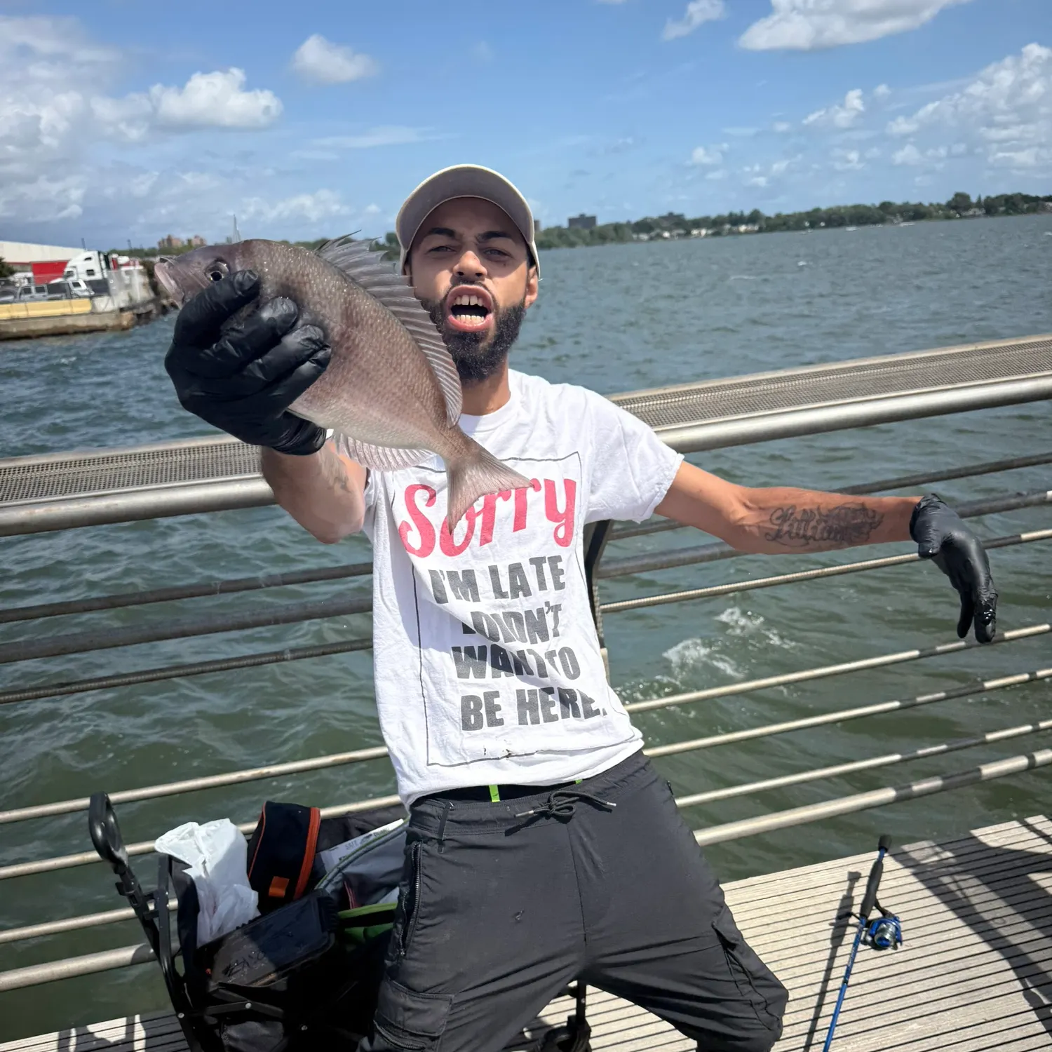The most recent Silver porgy catches on Fishbrain