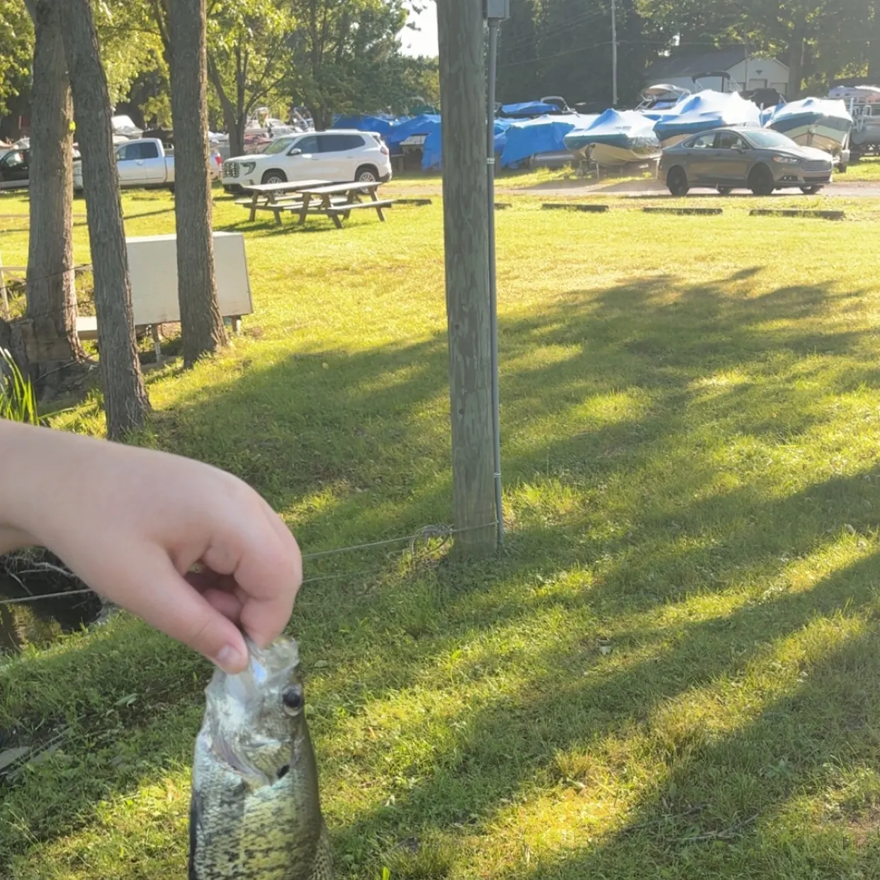 catch