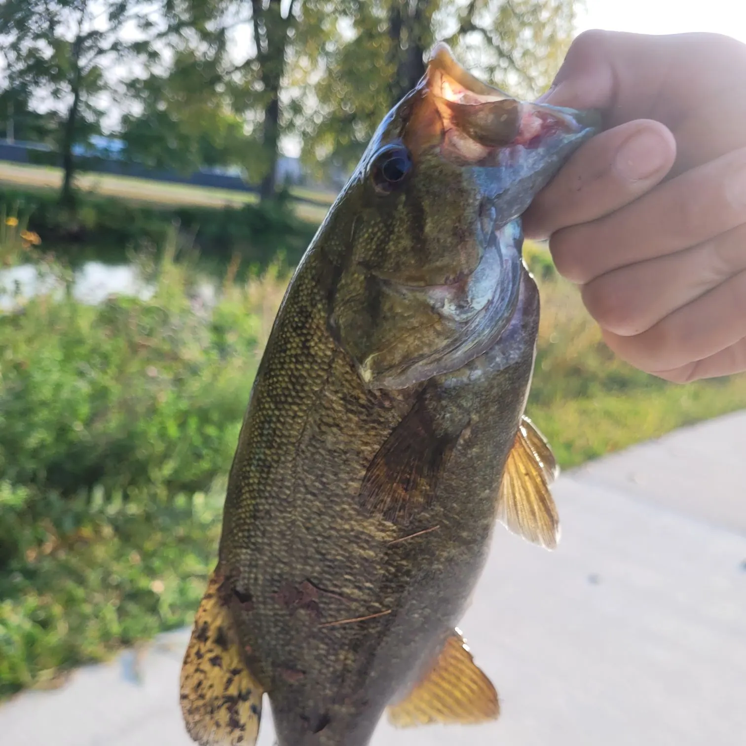 catch