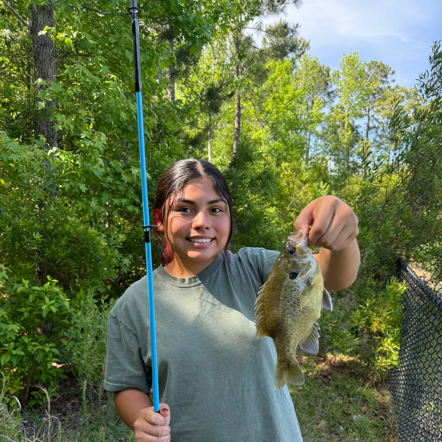 The most recent Warmouth x redear sunfish catches on Fishbrain