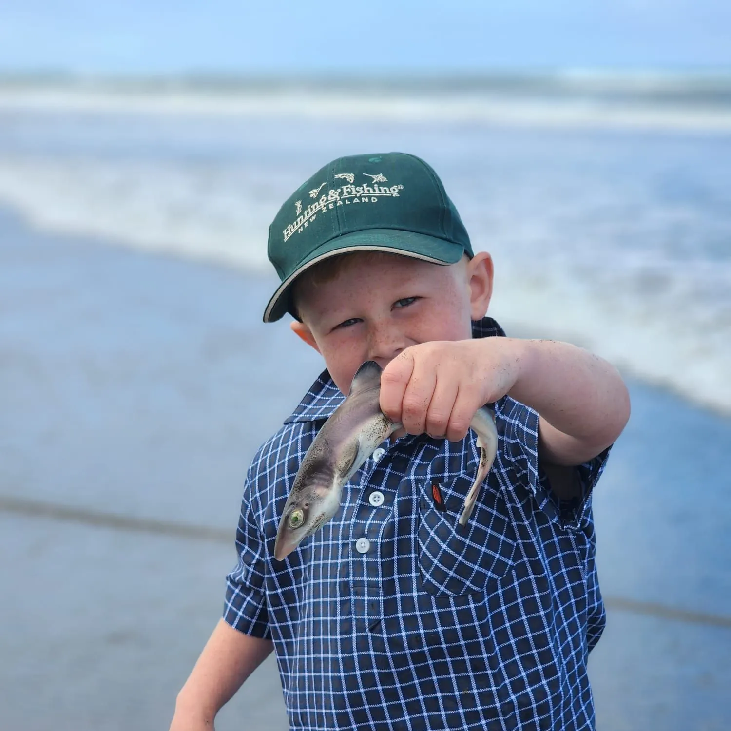 The most recent Sandbar shark catches on Fishbrain