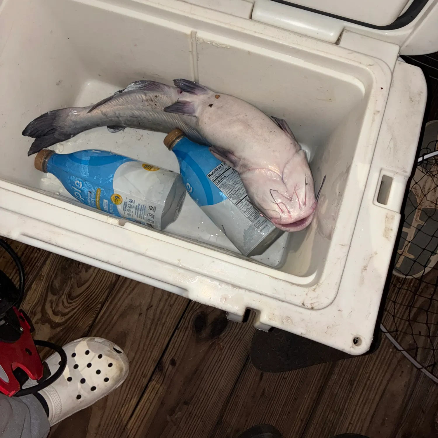 catch