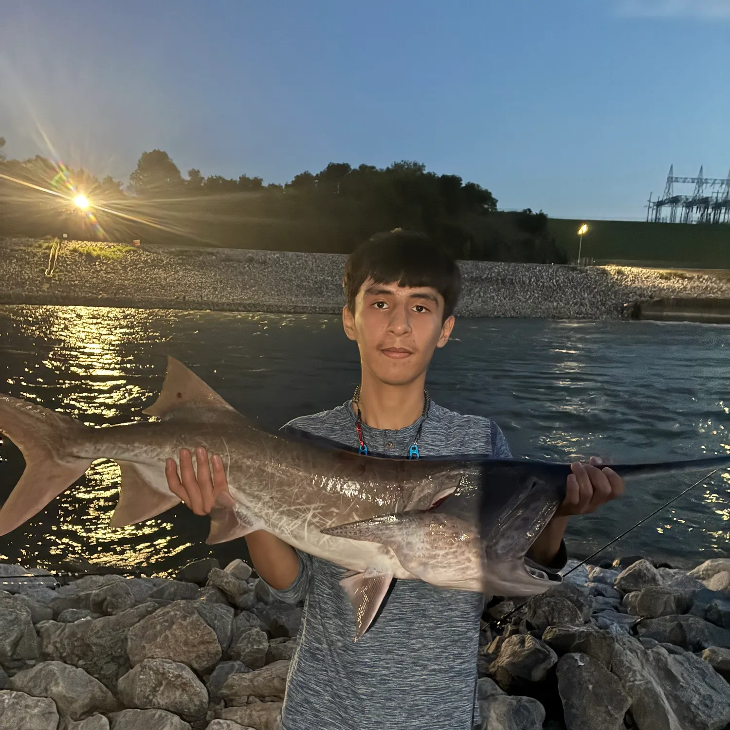 The most recent Paddlefish catches on Fishbrain