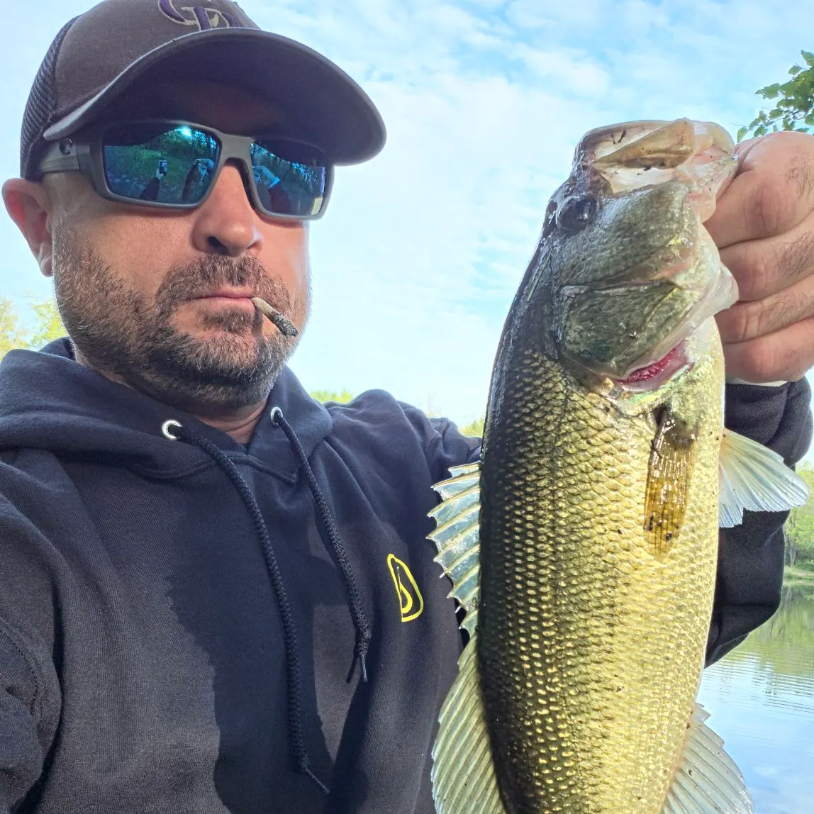 Largemouth bass caught on Fishbrain