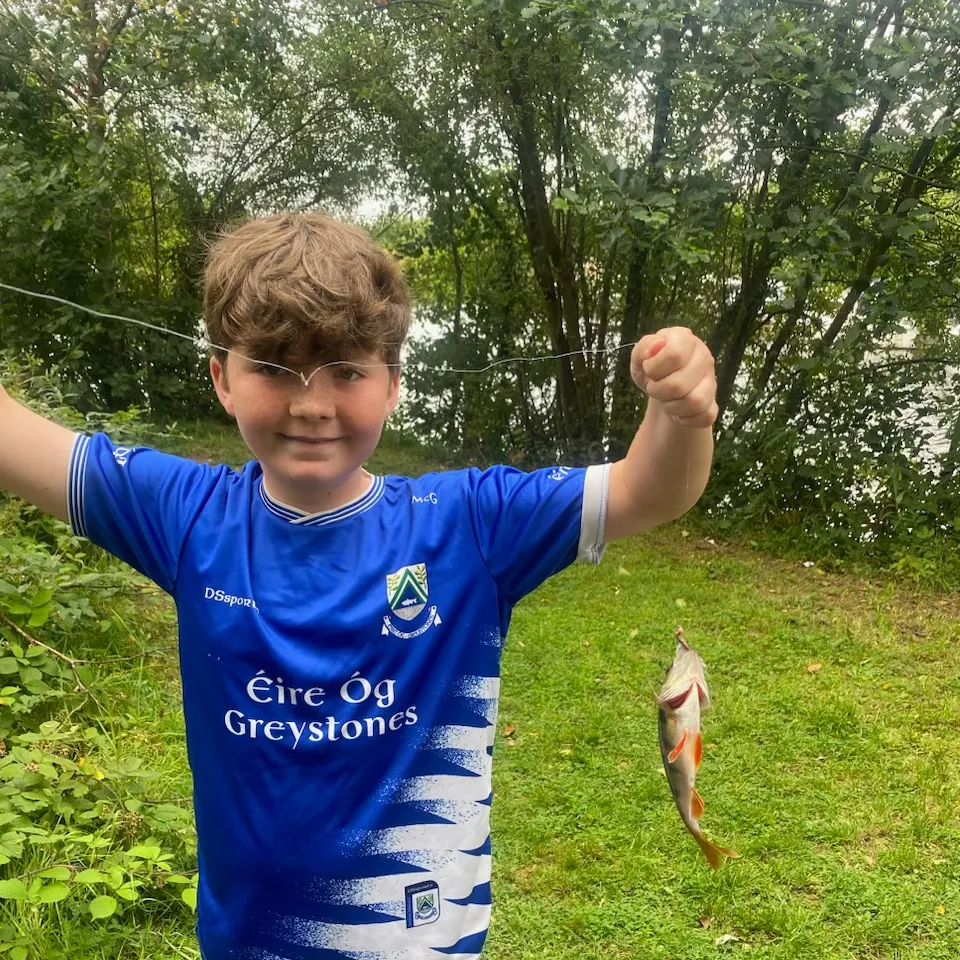 European perch caught on Fishbrain