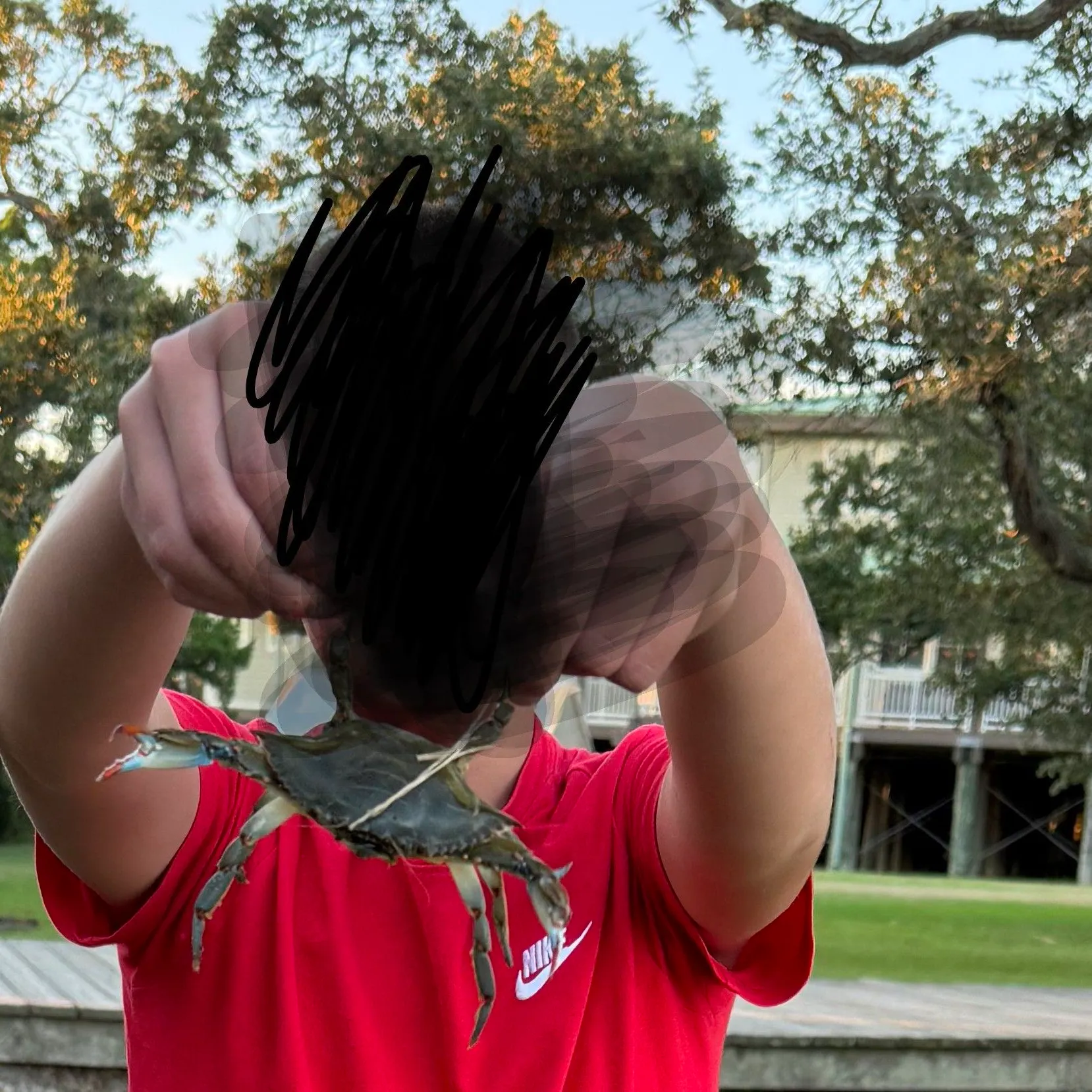 Blue crab caught on Fishbrain