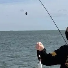 The most recent Chacunda gizzard shad catches on Fishbrain