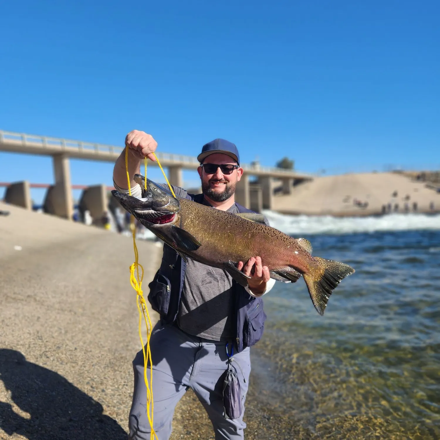 Chinook salmon caught on Fishbrain