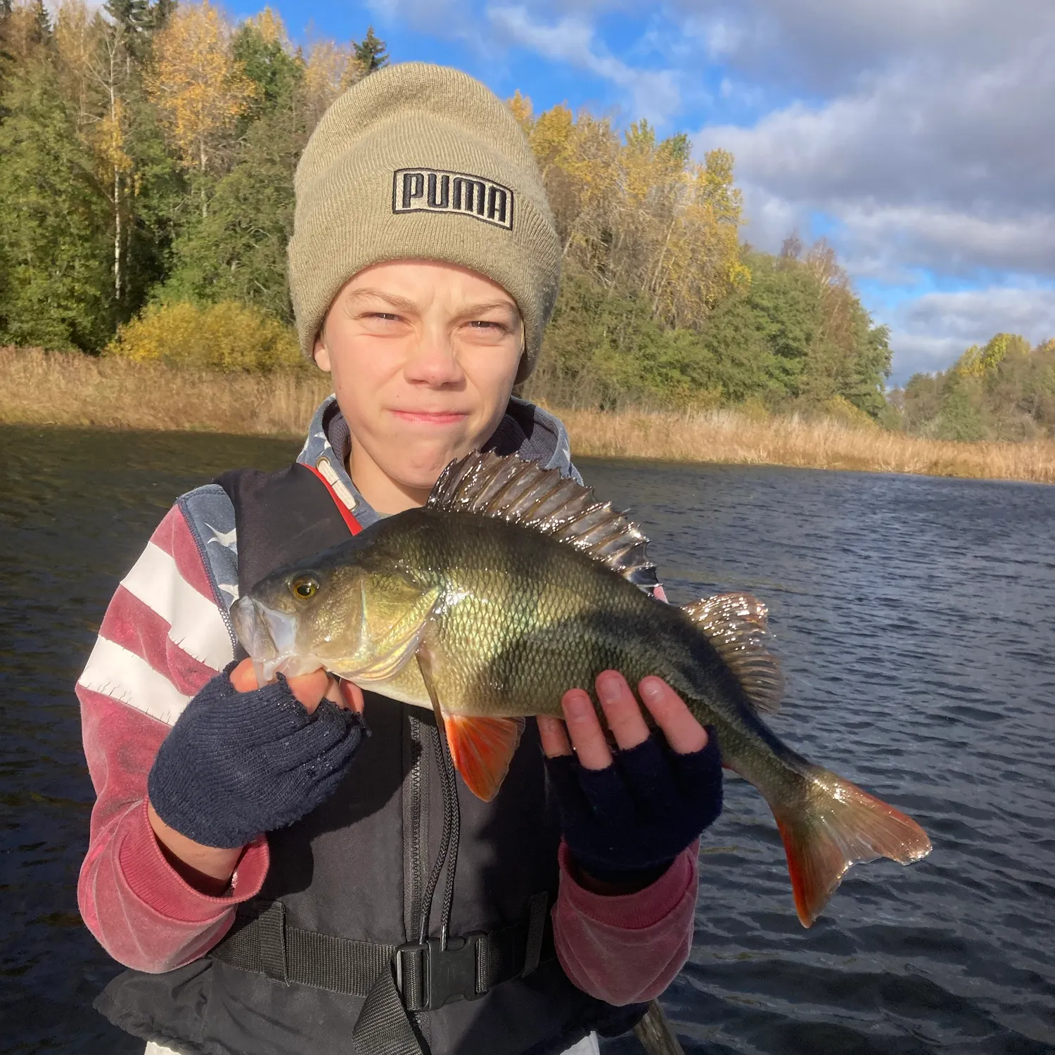 European perch caught on Fishbrain