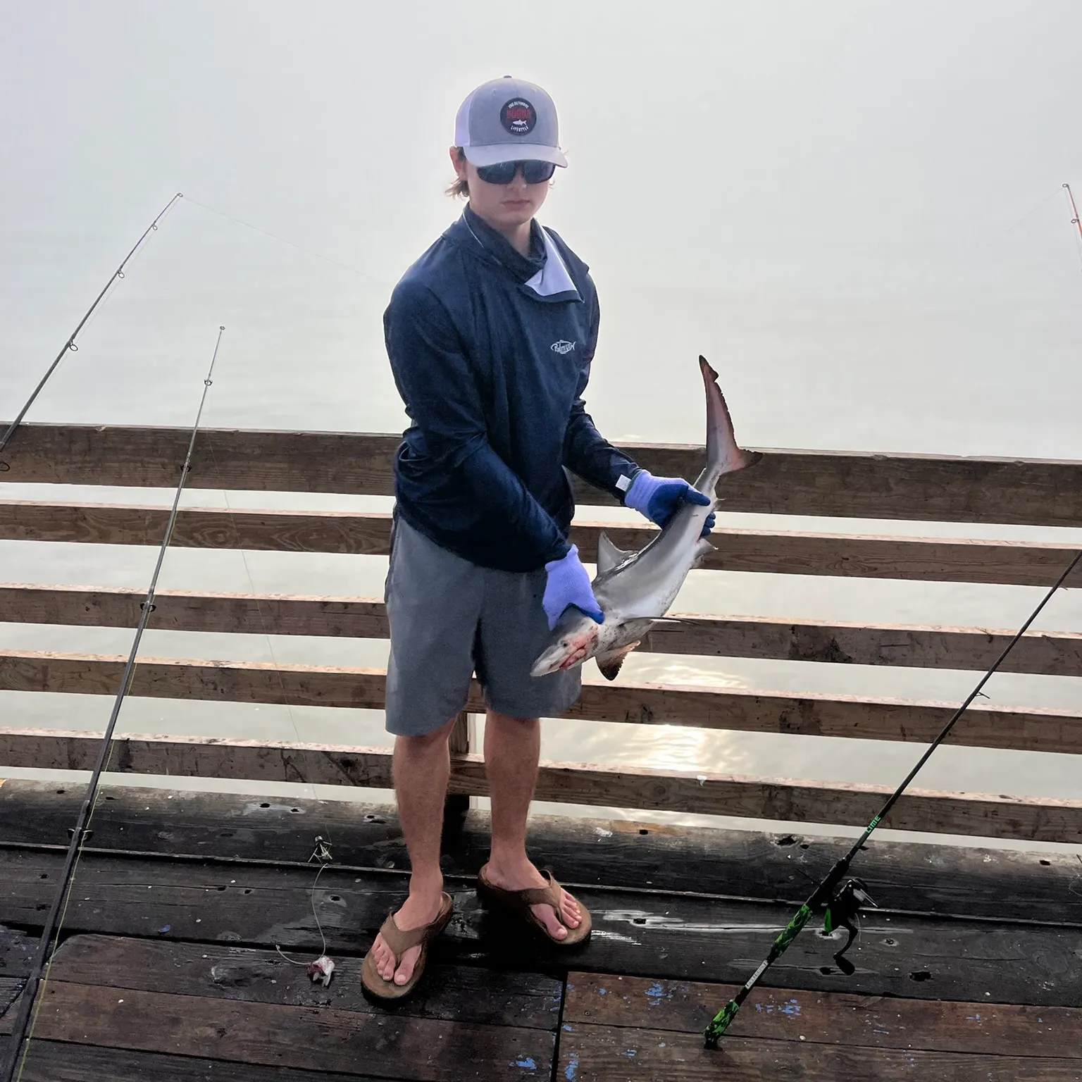 The most recent Blacktip shark catches on Fishbrain