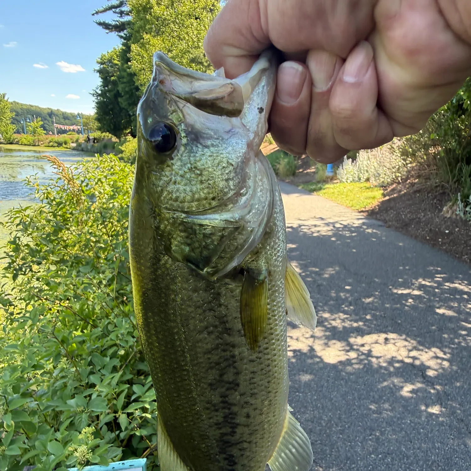 catch
