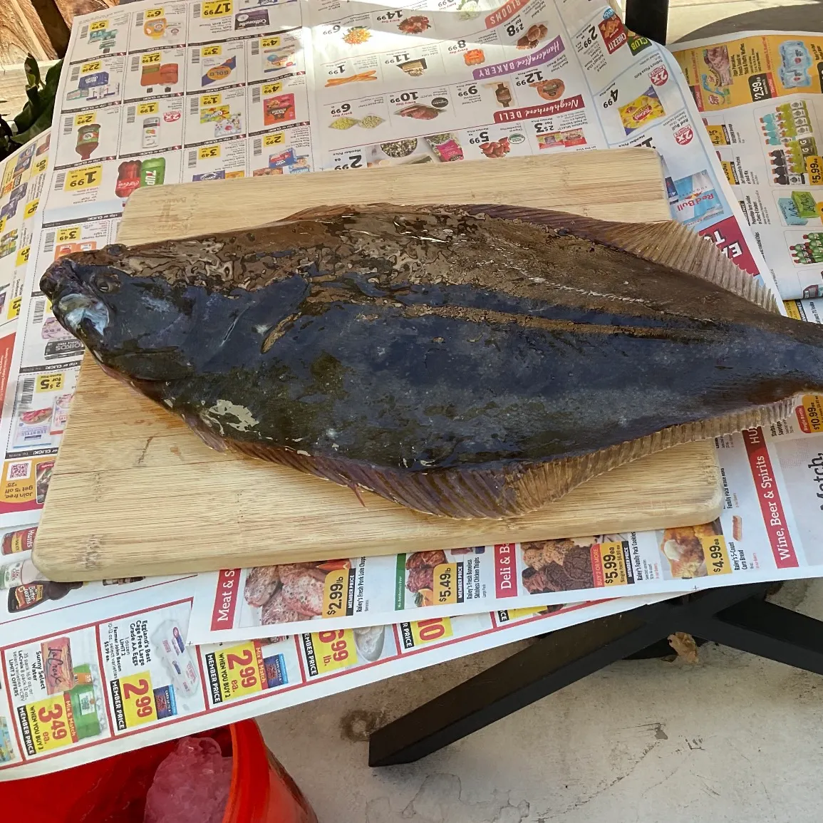 Pacific halibut caught on Fishbrain