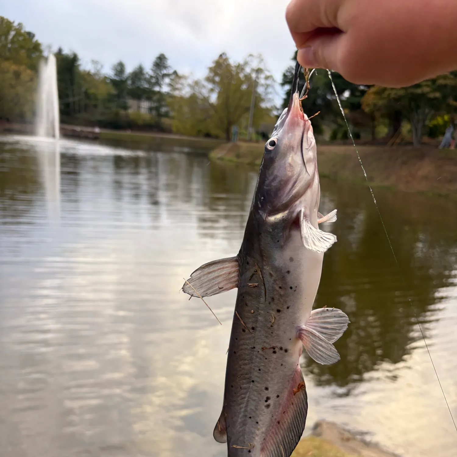 catch