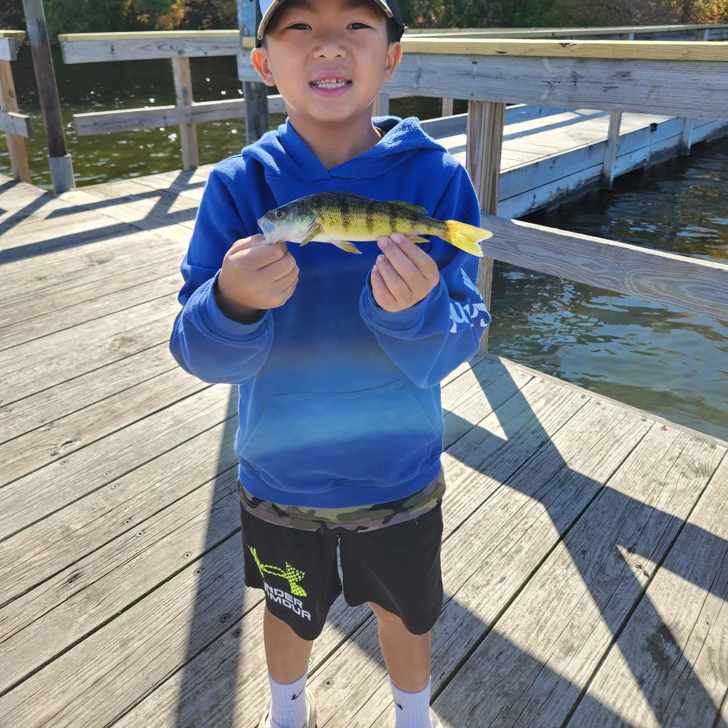 Yellow perch caught on Fishbrain