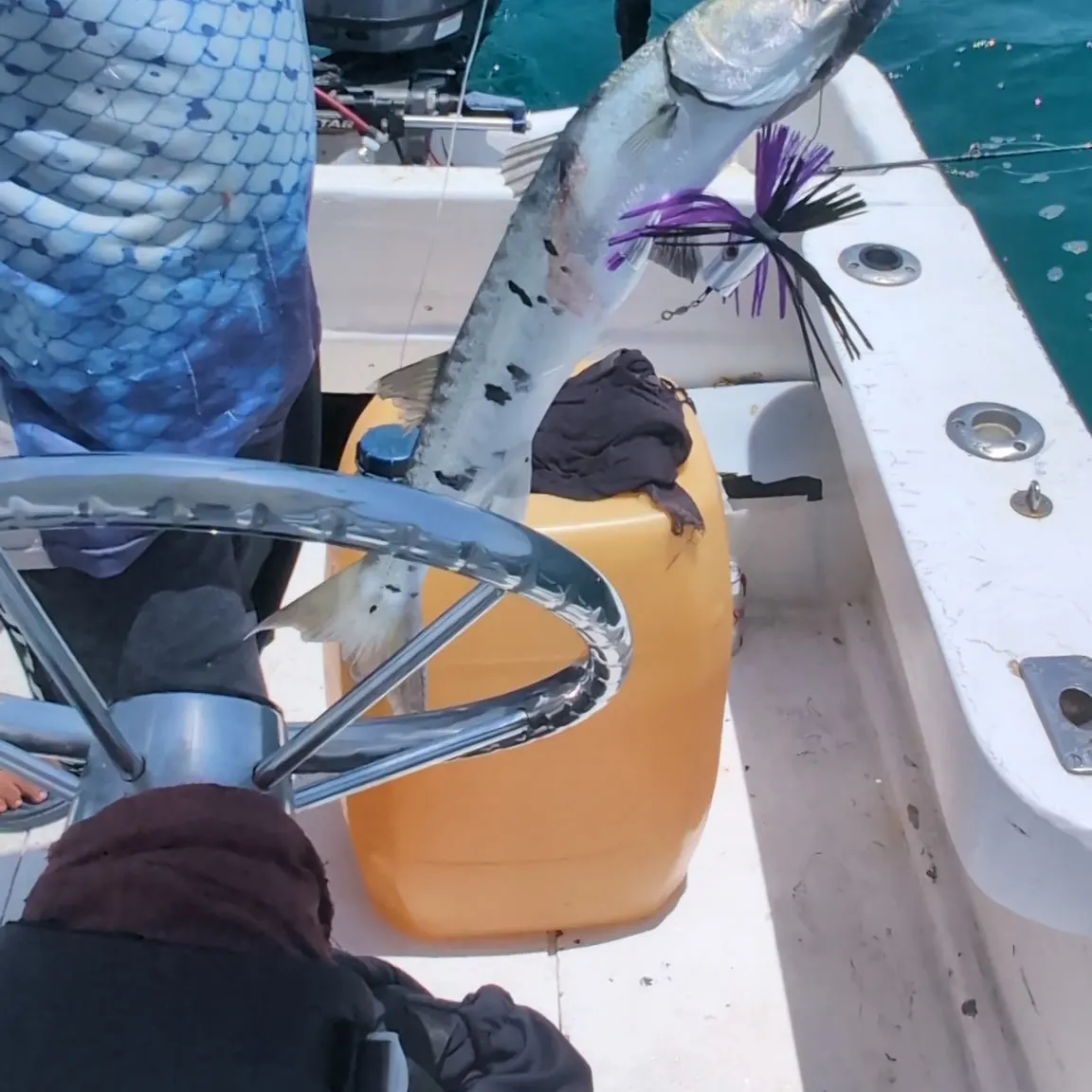 Great barracuda caught on Fishbrain