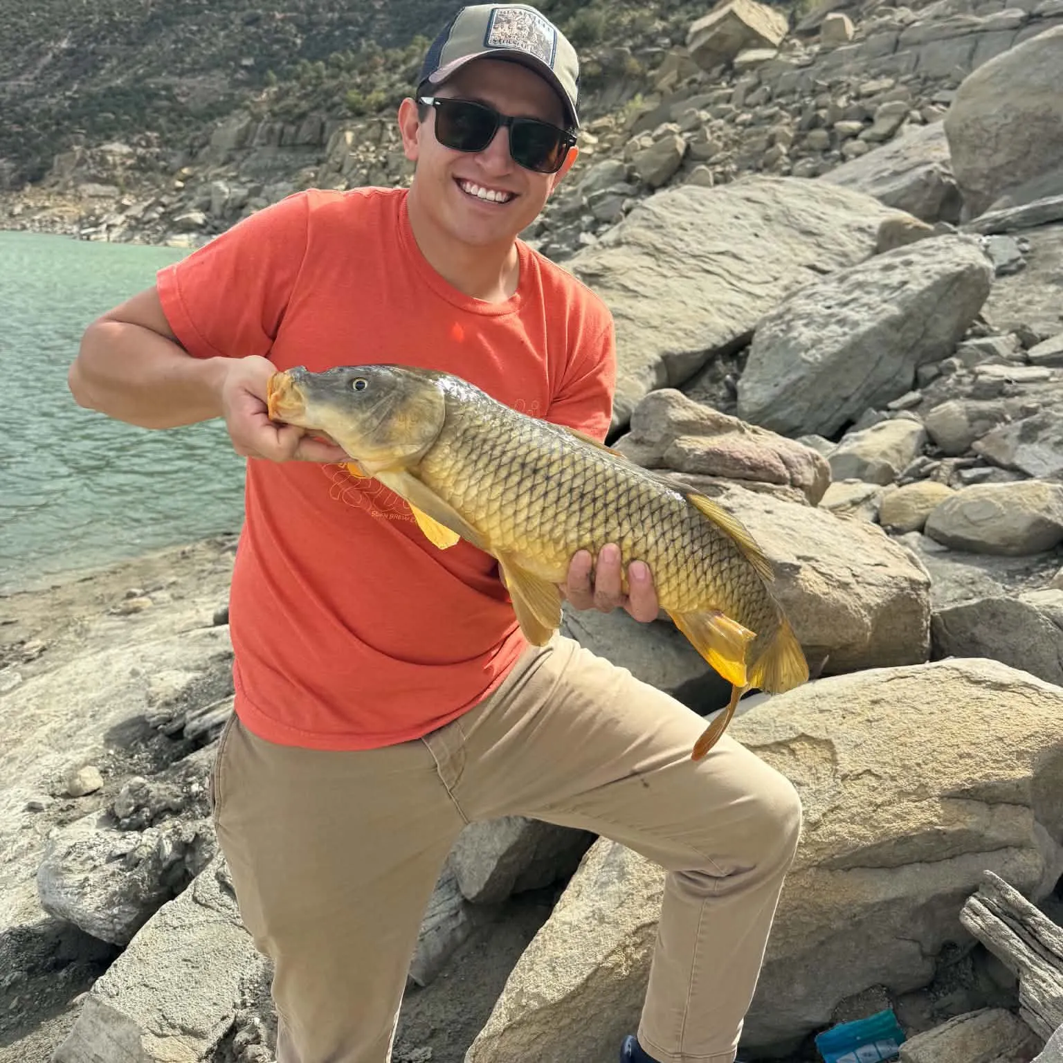 Common carp caught on Fishbrain